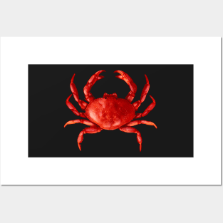 Red Crab Posters and Art